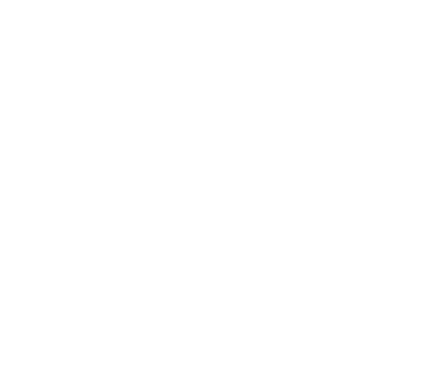 Crisis Resilience Initiative logo